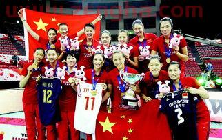 中国女排队员名单金烨简历（女排中国队员名单与号牌）