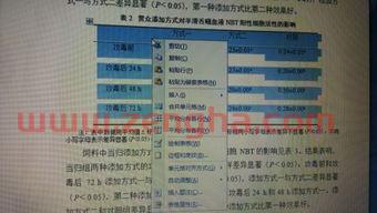 季后赛五选一规则表格图（季后赛55+）