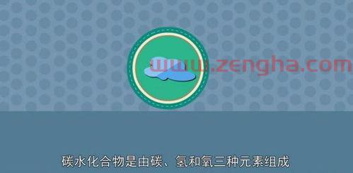 2021欧洲杯目前战绩