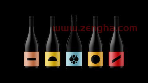 2021欧洲洲杯图片大图