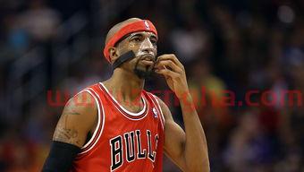 汉密尔顿nba