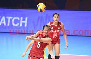 2019女排世界杯小组分组情况