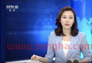 13套在线直播