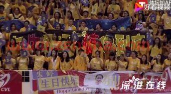 球迷为朱婷庆生