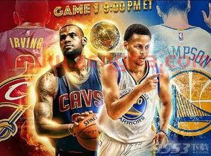 20122013nba总决赛