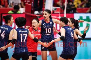 韩国女排世界杯预选赛分组