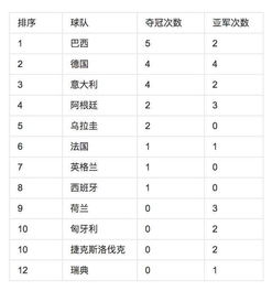 世界杯*次数排名